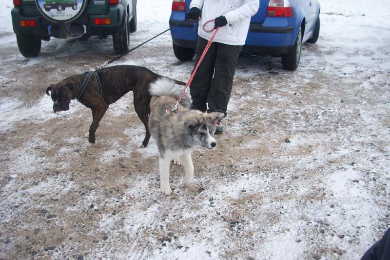 02_0111.jpg