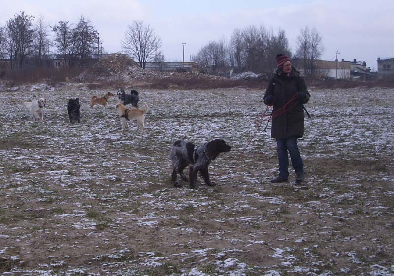 05_jan11.jpg