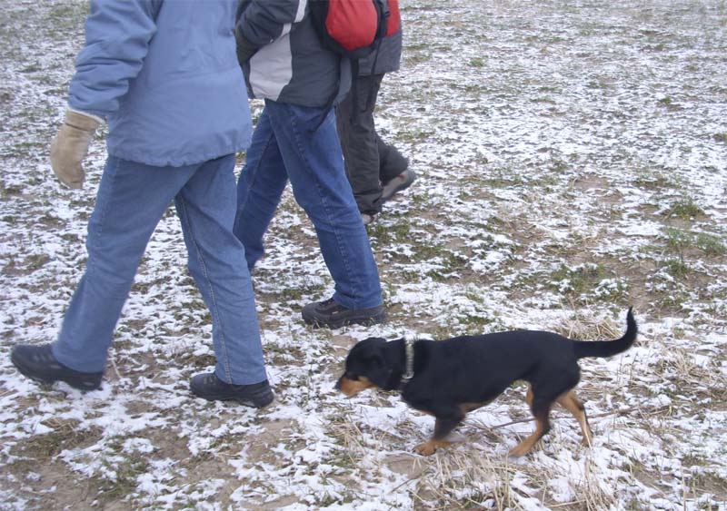 09_jan11.jpg