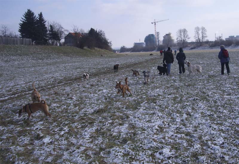 35_jan11.jpg