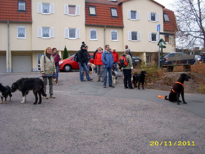 11_1111.jpg