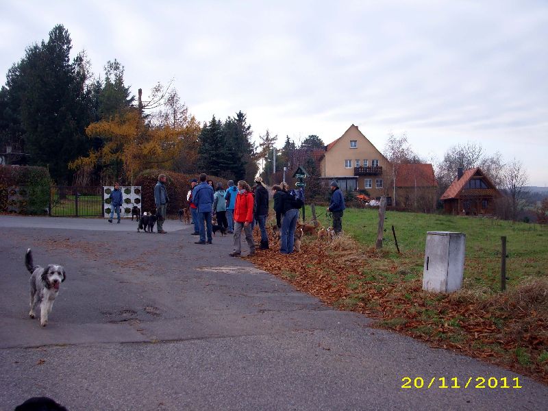 14_1111.jpg