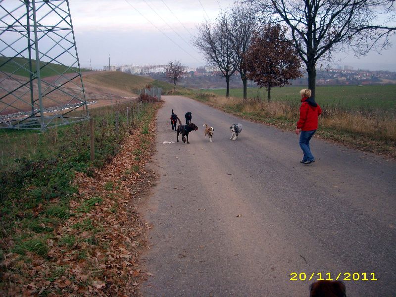 15_1111.jpg