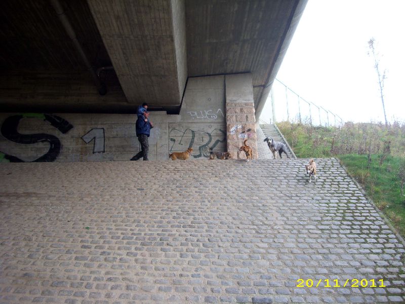 17_1111.jpg