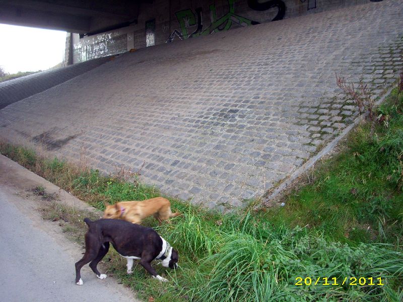 18_1111.jpg