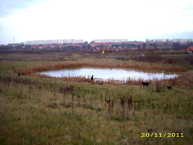 19_1111.jpg