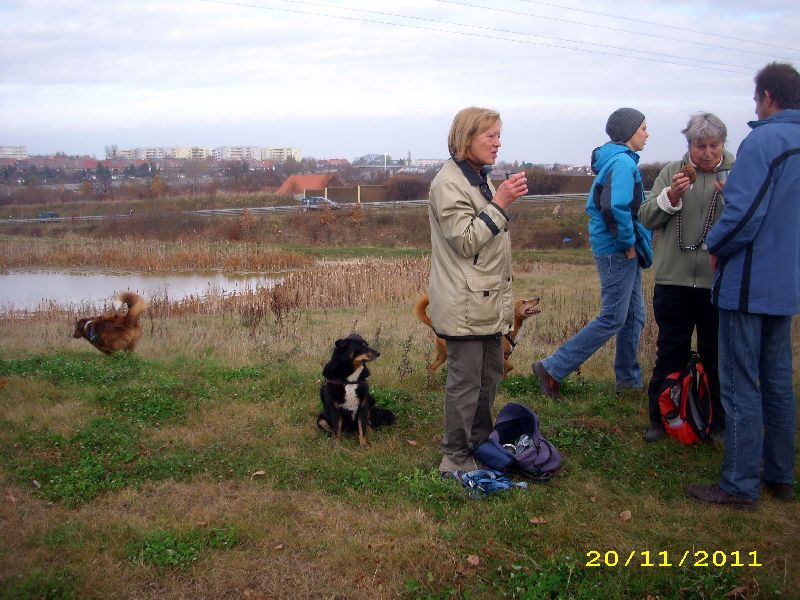 22_1111.jpg