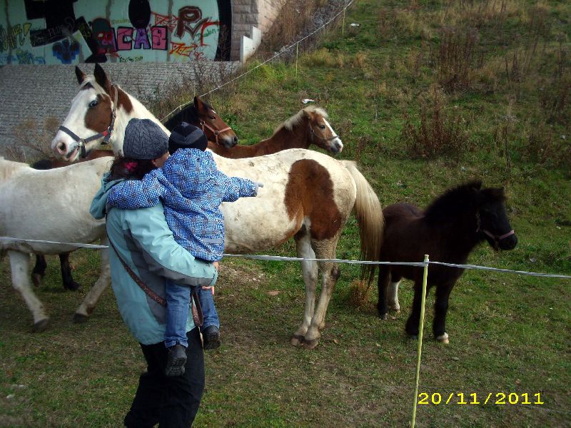 23_1111.jpg