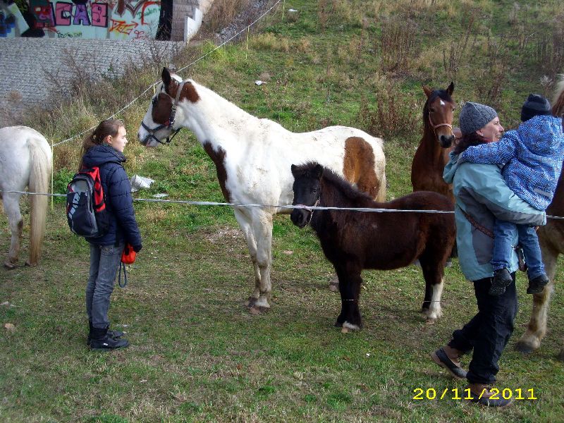 25_1111.jpg