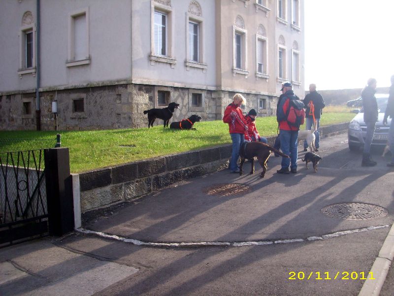 26_1111.jpg