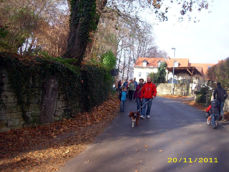 27_1111.jpg
