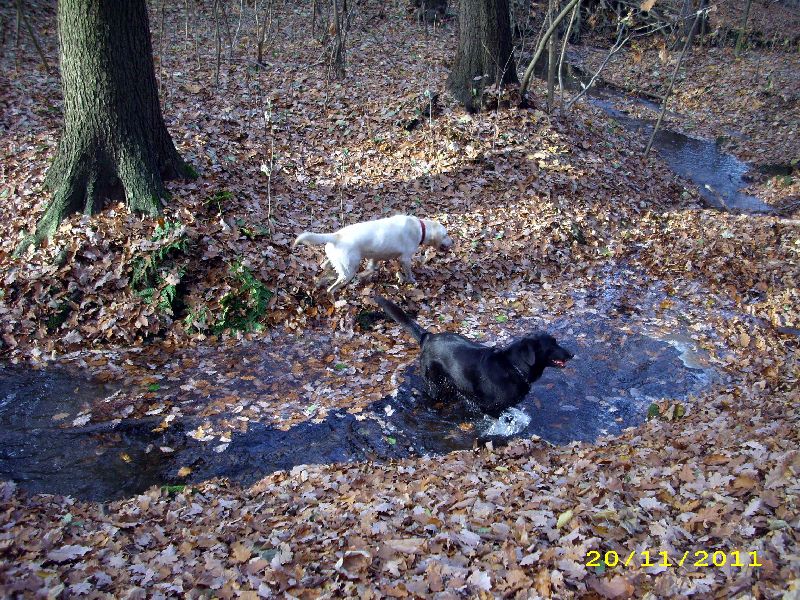 33_1111.jpg