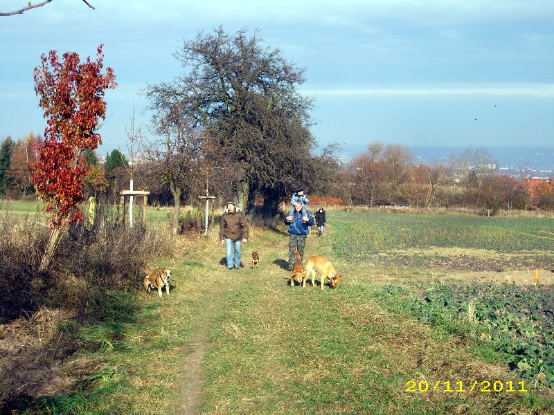 39_1111.jpg